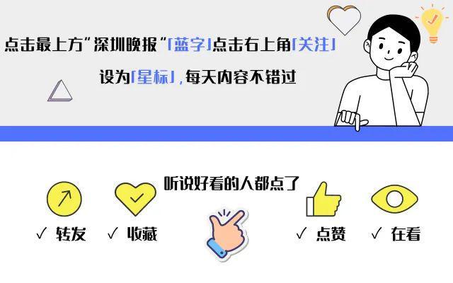 开元棋牌试玩现场火爆！顶流明星空降深圳